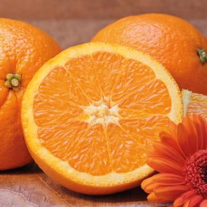 07_Orange-flowersVanilla