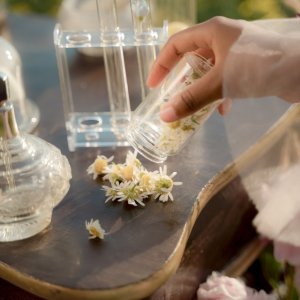 pexels-ron-lach-10534012 pexels-ron-lach-10534012