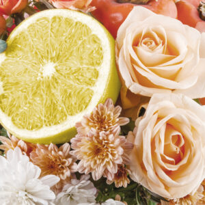 CitrusBouquet_Fragrance CitrusBouquet_Fragrance